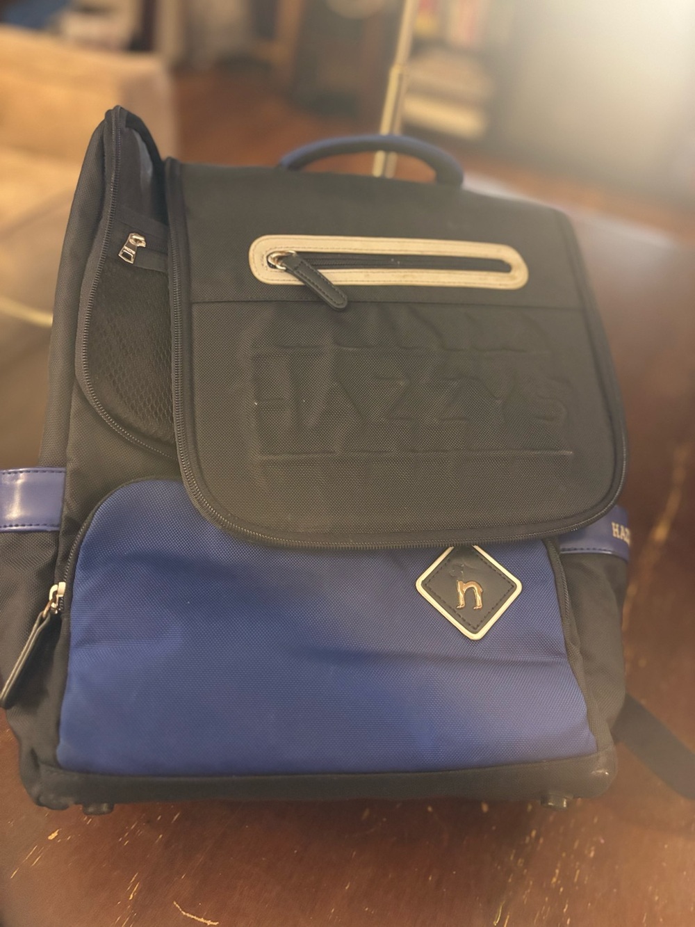 HAZZYS Backpack Black Royal Blue Gold Logo Multi Pocket Travel School Bag